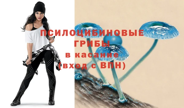 тгк Ладушкин