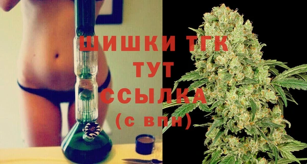 тгк Ладушкин