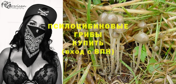тгк Ладушкин