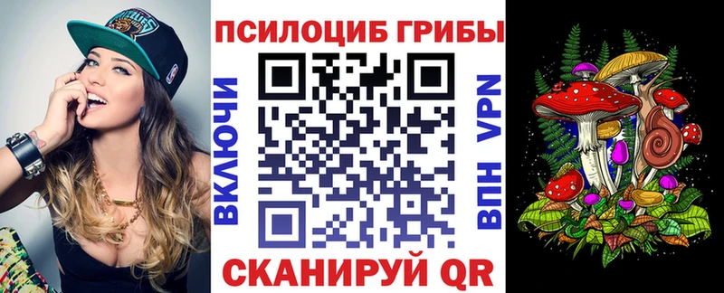 Купить закладки  Зуевка  Галлюциногенные грибы мухоморы 